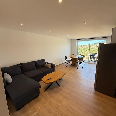 Apartament Vue Mer, Terrasse Et Parking Securise A *